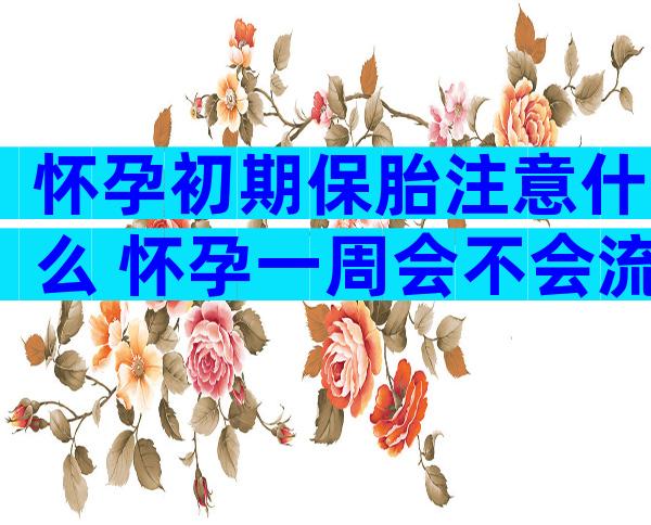 怀孕初期保胎注意什么 怀孕一周会不会流产